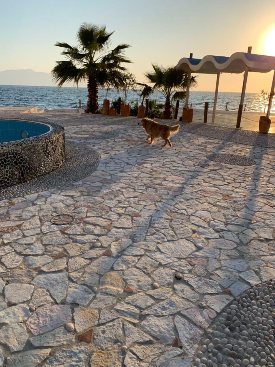 Bougainville Bay Resort - Villa 11 Sarandë Eksteriør bilde